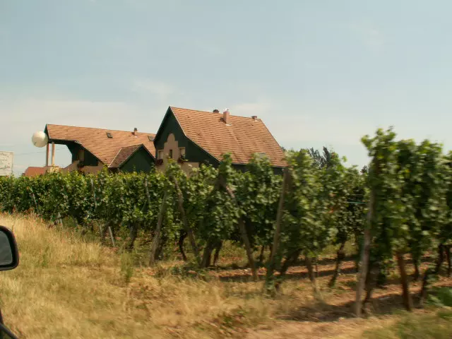 Elsass (c) Voyagemedia - RRinnau